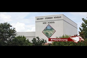 MSDStrong