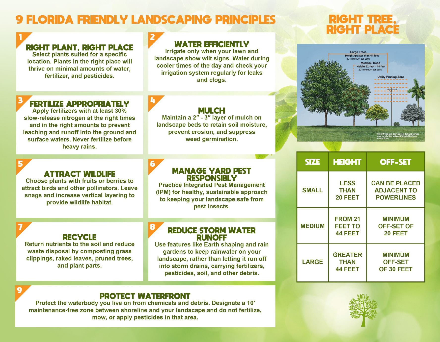 Tree Giveaway April 2018-Brochure 2